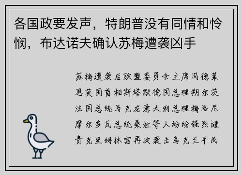 各国政要发声，特朗普没有同情和怜悯，布达诺夫确认苏梅遭袭凶手